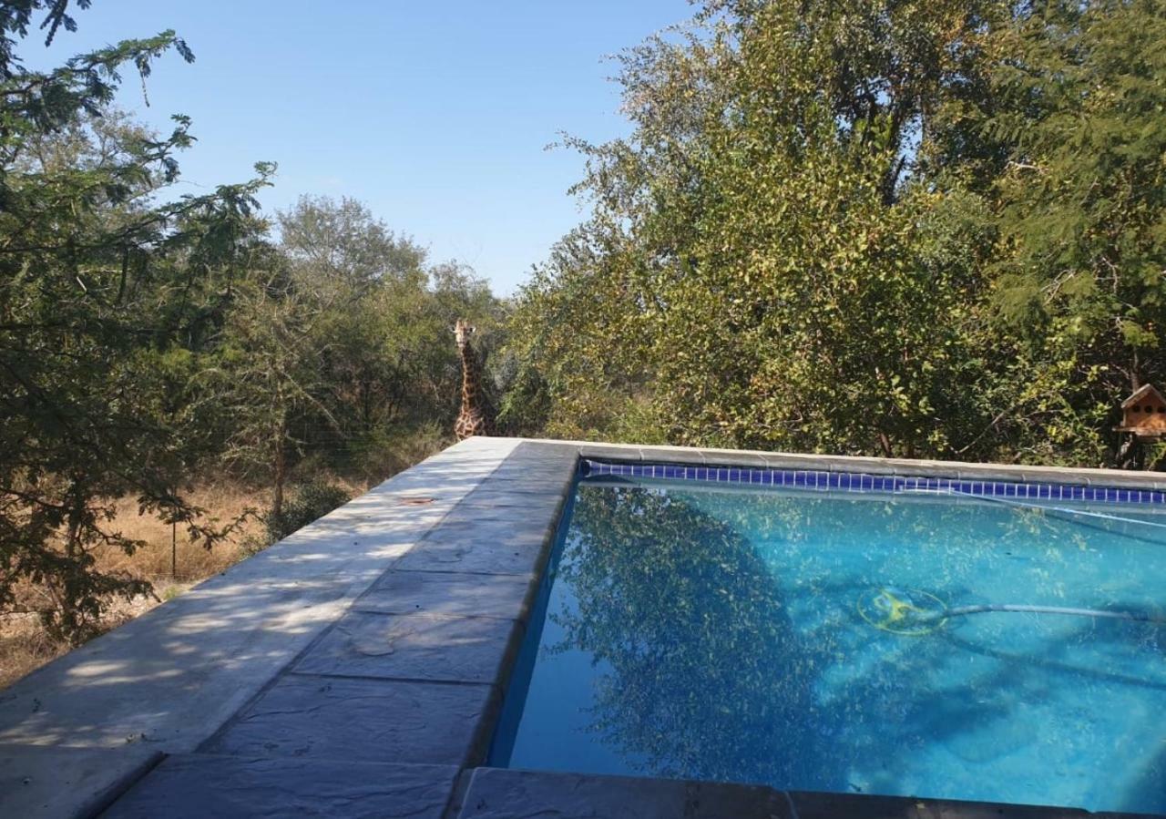 Villa Lionsview Private - 6 Lions *