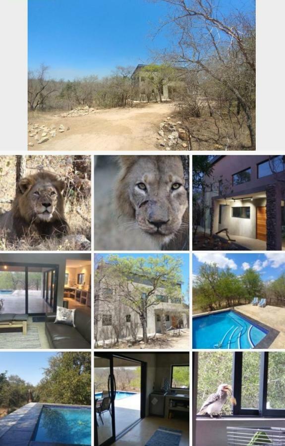 Villa Lionsview Private - 6 Lions *
